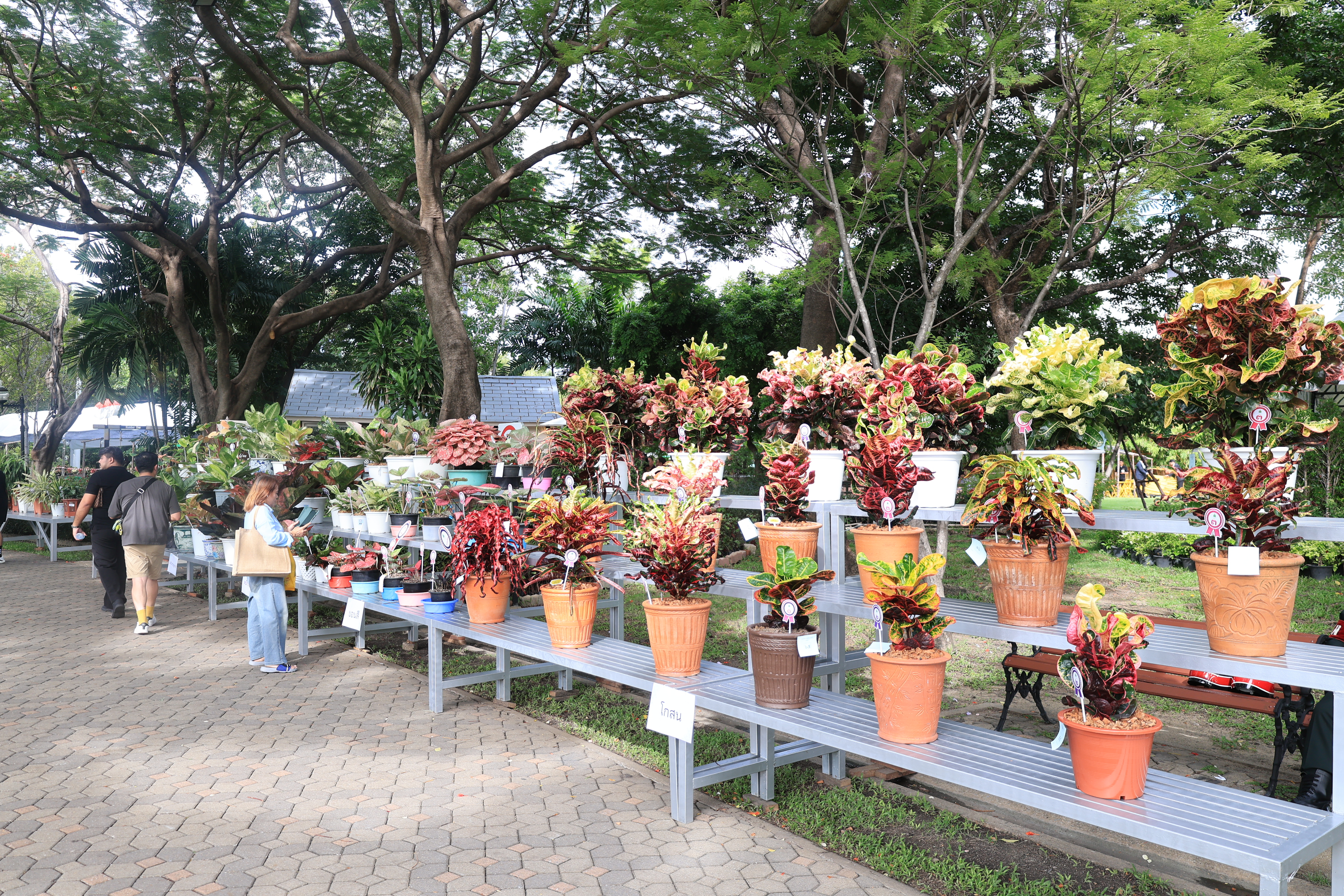 title - สำนักงานการปฏิรูปที่ดินเพื่อเกษตรกรรม ร่วมเฝ้าฯ รับเสด็จ สมเด็จพระกนิษฐาธิราชเจ้า กรมสมเด็จพระเทพรัตนราชสุดา ฯ สยามบรมราชกุมารี เสด็จพระราชดำเนินไปทรงเปิดงาน “สีสรรพรรณไม้ เทิดไท้บรมราชินีนาถ”